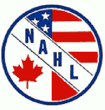 north american hockey league 1975-1992 primary logo iron on transfers for clothing